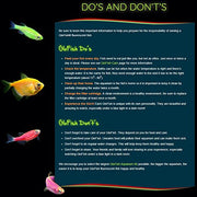 GloFish Aquarium Gravel, Pink, Green & Blue Mix, 5 lbs | Compliments GloFish Tanks, Glows Under Blue LED Lights, Use As a Substrate or Accent With GloFish Aquarium Plants & Décor