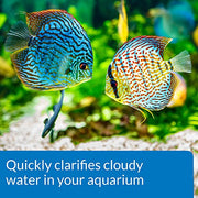 API ACCU-CLEAR Freshwater Aquarium Water Clarifier 8-Ounce Bottle
