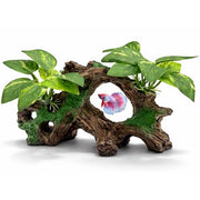 Aquarium Decorations Cave Silk Aquarium Plants Betta Fish Tank Decor | Soft & Safe Fish Tank Accessories, Aquarium Decor Plants for Beta Goldfish Bowl Decor, Artificial Driftwood Fish Cave
