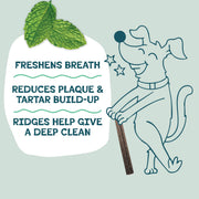 Shameless Pets Blueberry & Mint Dental Chews for Dogs, 8 Chews | Dental Chews for Dogs, Dog Teeth Cleaning Treats with Immune Support