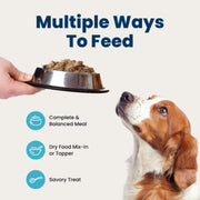 Blue Buffalo Homestyle Recipe Variety Pack Wet Dog Food, 12.5 oz, 6 ct | Chicken & Beef Dinner (3 of Each), No Chicken By-Product, Corn, Wheat, or Soy