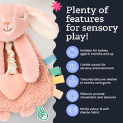 Itzy Ritzy Lovey Including Teether, Teething Relief, 0+ Months (Pink Bunny) | Baby Lovey with Soft Sherpa, Plush Minky, Silicone Teether, Crinkle Sounds, Textured Ribbons, and Interactive Dangle Arms