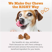 Zesty Paws Probiotics for Dogs - Gut Health Soft Chews, Pumpkin, 90 Ct | Probiotics for Dogs Soft Chews for Gut Health & Digestive Support