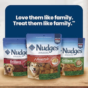 Blue Buffalo Nudges Homestyle Chicken Dog Treats, 16 oz