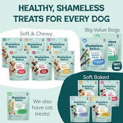 Shameless Pets Blueberry & Mint Dental Chews for Dogs, 8 Chews | Dental Chews for Dogs, Dog Teeth Cleaning Treats with Immune Support