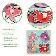 Wooden Peg Puzzles for Toddlers 1-3, Kids' Educational Preschool Peg Puzzle Toy, Set of 4 Toddler Puzzles - Farm, Dinosaur, Fruit and Marine Animals, Ideal Gift for Ages 1 2 3 Boys and Girls