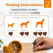 Zesty Paws Probiotics for Dogs - Gut Health Soft Chews, Pumpkin, 90 Ct | Probiotics for Dogs Soft Chews for Gut Health & Digestive Support