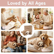 Niuniu Daddy Weighted Stuffed Animals, 20 in 3.3 lbs, Sloth Calming Plush | Heavy sensory lap pad, lying body pillow for sleeping, machine wash, huggable gift for kids and adults