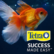 Tetra Goldfish Flakes Fish Food, 7.06 oz | Nutritionally Balanced Daily Diet for Goldfish & Small Koi, Color-Enhancing, Highly Digestible, Clean & Clear Water Formula