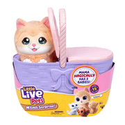 Little Live Pets Mama Surprise Kittens, Interactive Mama, Surprise Toys