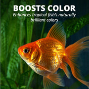 Tetra Goldfish Flakes Fish Food, 7.06 oz | Nutritionally Balanced Daily Diet for Goldfish & Small Koi, Color-Enhancing, Highly Digestible, Clean & Clear Water Formula