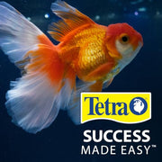 Tetra Goldfish Flakes Fish Food, 7.06 oz | Nutritionally Balanced Daily Diet for Goldfish & Small Koi, Color-Enhancing, Highly Digestible, Clean & Clear Water Formula