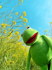 NICERINC Kermit Frog Puppet, The Muppets Show, Soft Hand Frog Stuffed Plush Toy,Birthday Gift Ideas for Boys and Girls- 24 Inches