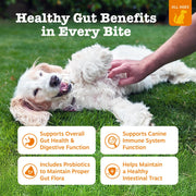 Zesty Paws Probiotics for Dogs - Gut Health Soft Chews, Pumpkin, 90 Ct | Probiotics for Dogs Soft Chews for Gut Health & Digestive Support