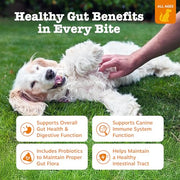 Zesty Paws Probiotics for Dogs - Gut Health Soft Chews, Pumpkin, 90 Ct | Probiotics for Dogs Soft Chews for Gut Health & Digestive Support