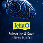 Tetra Whisper Bio-Bag Large Filter Cartridges for Aquariums, 3 Count | Ready to Use, Fits Tetra Whisper Fish Tank Filter 10-30 Gal, 20-40 Gal, PF-20, 30, 40, 60, IQ 20, 30, 45, 60, Replace Monthly