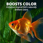 Tetra Goldfish Flakes Fish Food, 7.06 oz | Nutritionally Balanced Daily Diet for Goldfish & Small Koi, Color-Enhancing, Highly Digestible, Clean & Clear Water Formula