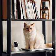 Kasa 1080p Indoor Pan/Tilt Wired Security Camera, Baby & Pet Monitor, EC70 | Motion Detection & Tracking, 2-Way Audio, Night Vision, Subscription-Free Local Storage or Optional Cloud