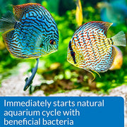 API Quick Start Freshwater & Saltwater Aquarium Nitrifying Bacteria (4 oz) | Allows You to Add Fish Faster - Reduces Harmful Compounds - Treats Up to 120 Gallons - New Aquarium Setup or Water Change
