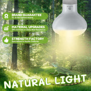 REPTI HOME Reptile Heat Lamp Bulbs, Simulate Natural Sunlight Heat Light Bulb, 2 Pack 100W Amphibian Terrarium Basking Spot Lamp for Reptile, Bearded Dragon, Lizard, Turtle, Snake