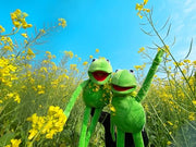 NICERINC Kermit Frog Puppet, The Muppets Show, Soft Hand Frog Stuffed Plush Toy,Birthday Gift Ideas for Boys and Girls- 24 Inches