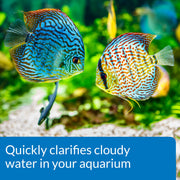 API ACCU-CLEAR Freshwater Aquarium Water Clarifier 8-Ounce Bottle
