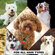 Wahl USA Dry Skin & Itch Relief Pet Shampoo for Dogs – Oatmeal Formula with Coconut Lime Verbena Scent & Pet Friendly Formula, 24 Oz - Model 820004A