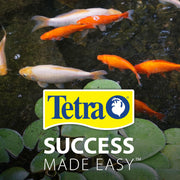 Tetra Pond Sticks Fish Food For Goldfish & Koi, 1.72 lbs | Healthy Daily Diet For All Pond Fish, Easy To Digest Floating Sticks Promote Clearer Water, Feed When Water Is +50 Degrees
