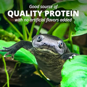 Tetra ReptoMin Floating Food Sticks for Aquatic Turtles, 2 lbs | Complete Daily Diet Turtle Food For Vitality & Good Health, High Protein For Growth, Easy To Digest, Feed 1-2 Times Daily