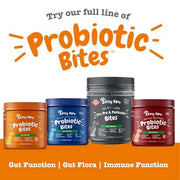 Zesty Paws Probiotics for Dogs - Gut Health Soft Chews, Pumpkin, 90 Ct | Probiotics for Dogs Soft Chews for Gut Health & Digestive Support