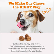 Zesty Paws Probiotics for Dogs - Gut Health Soft Chews, Pumpkin, 90 Ct | Probiotics for Dogs Soft Chews for Gut Health & Digestive Support