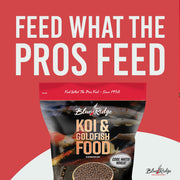 Blue Ridge Cool Water Wheat Koi Fish Food, 3/16" Pellets, 5 lb | Wheat-germ formula, easy cool-water digestion; floats & softens fast; works in auto feeders; vitamins & minerals added
