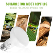 REPTI HOME Reptile Heat Lamp Bulbs, Simulate Natural Sunlight Heat Light Bulb, 2 Pack 100W Amphibian Terrarium Basking Spot Lamp for Reptile, Bearded Dragon, Lizard, Turtle, Snake