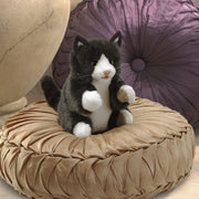 Folkmanis Tuxedo Kitten Hand Puppet, Black; White