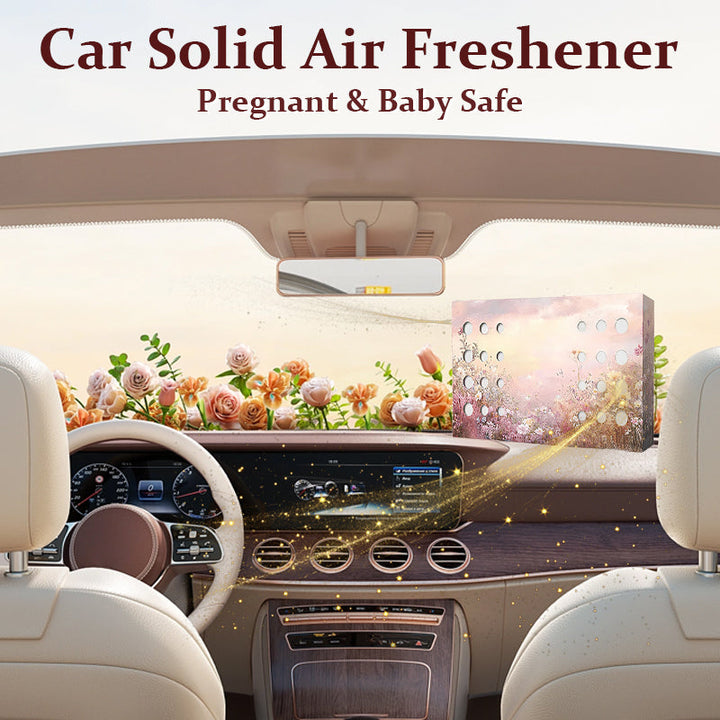 160g Car Solid Air Freshener - Pregnant & Baby Safe