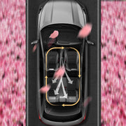 160g Car Solid Air Freshener - Pregnant & Baby Safe